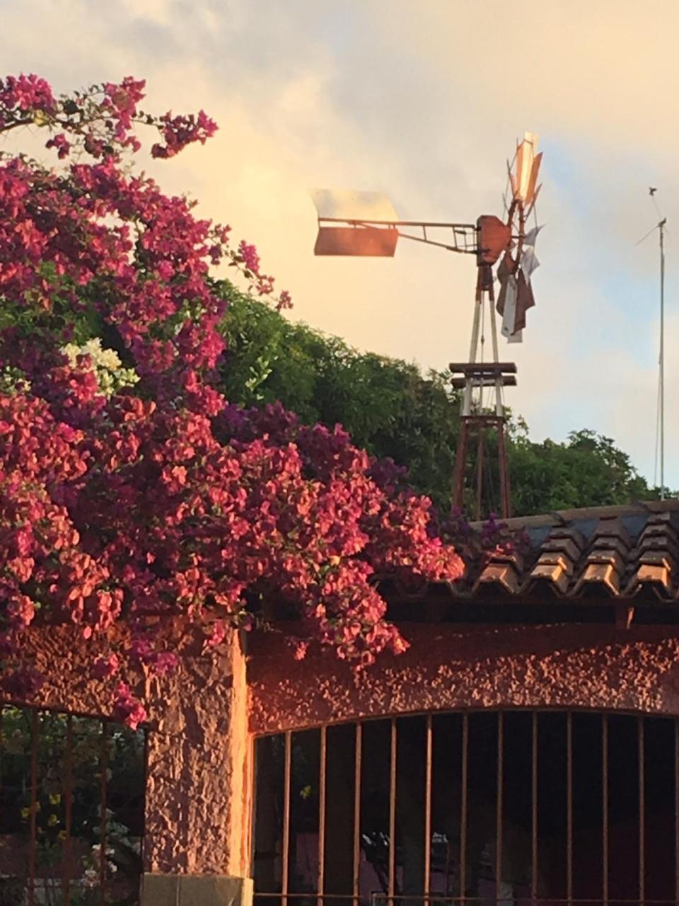 Algodoal Bela Mar Pousada المظهر الخارجي الصورة